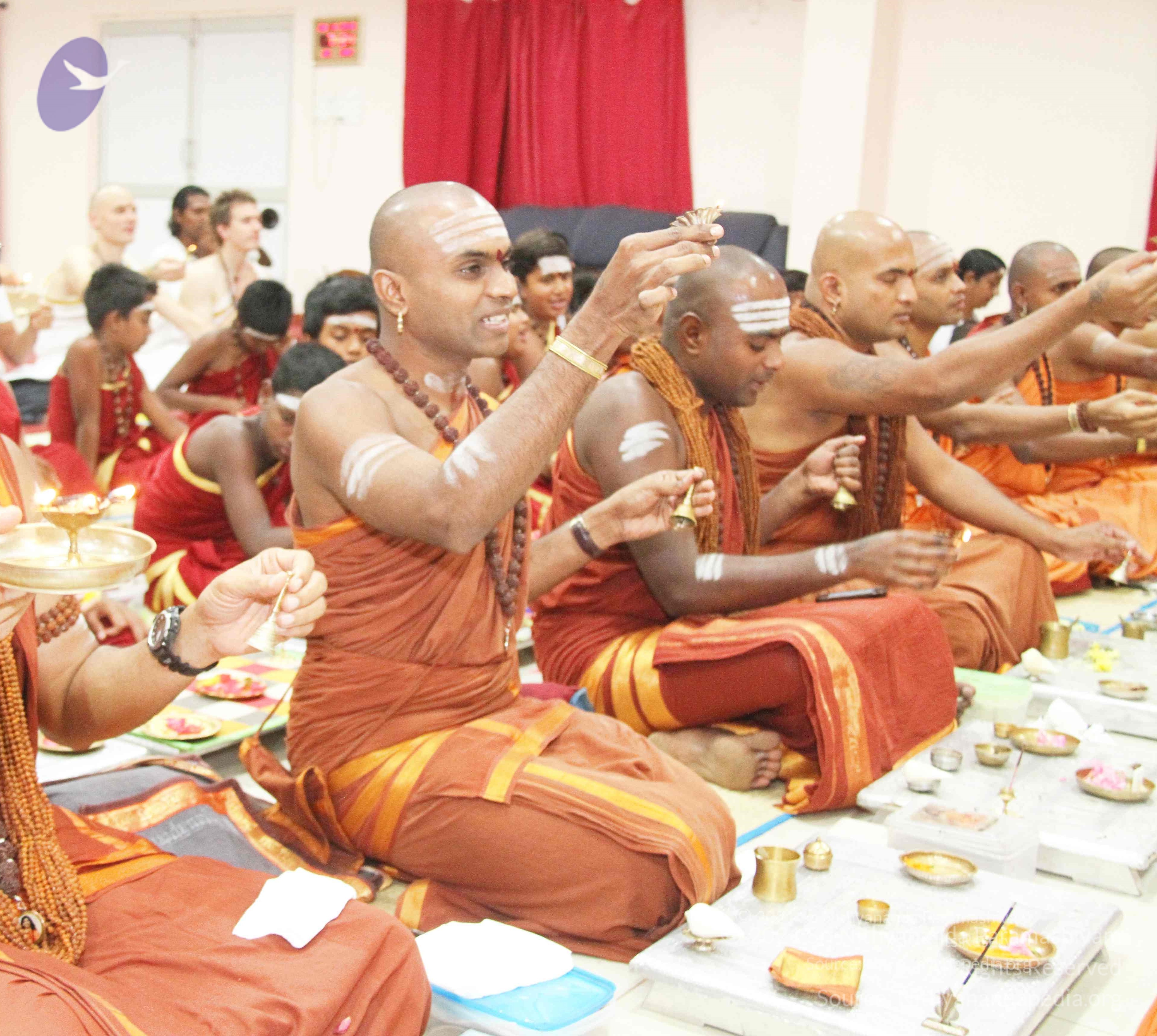 20131123_Photo_1000_IMG_2229 Done